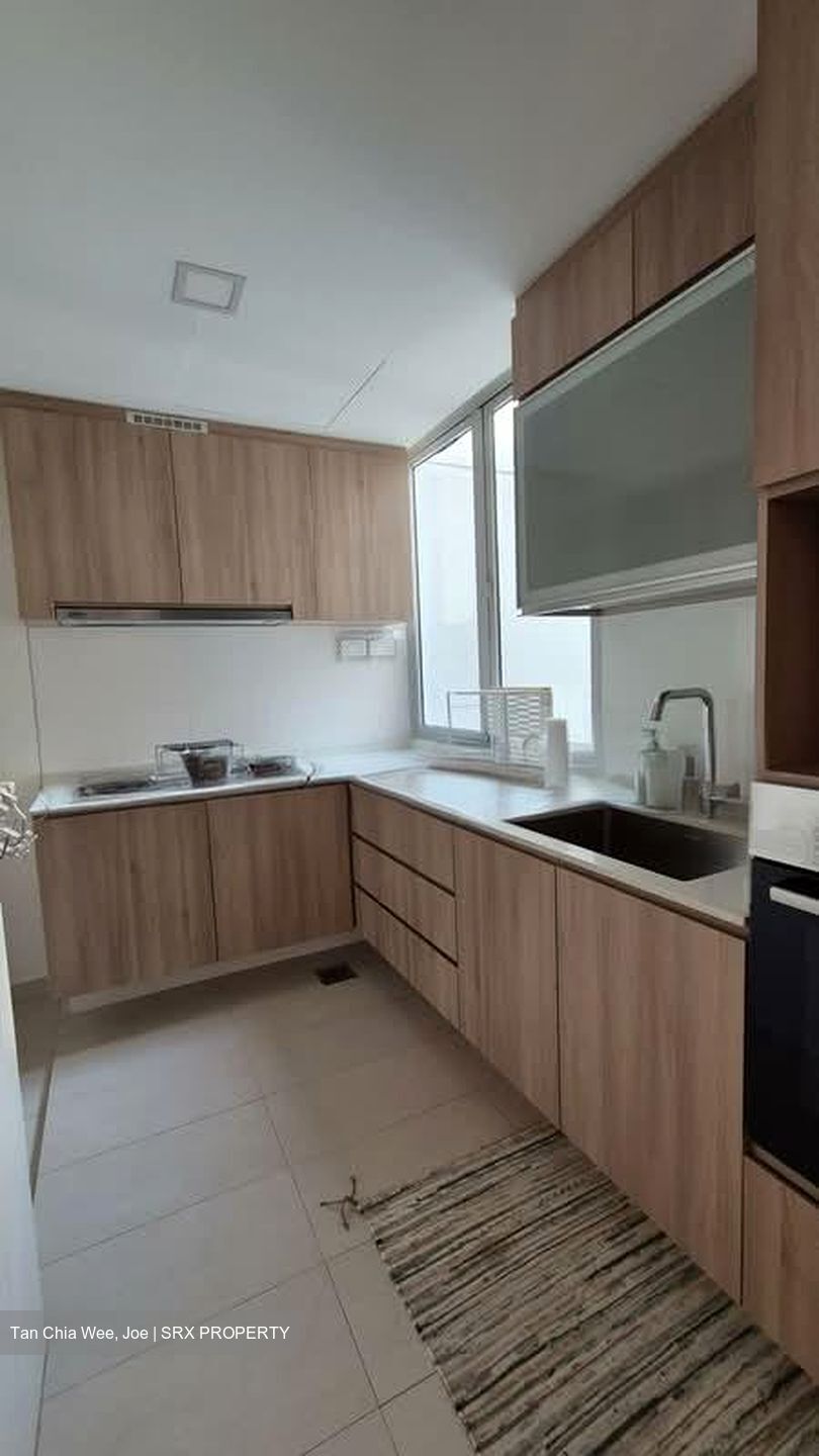 8 @ Mount Sophia (D9), Condominium #567696021
